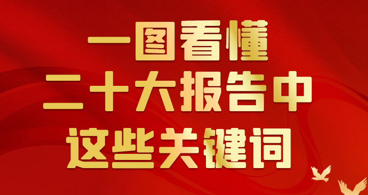 一图看懂二十大报告中这些关键词