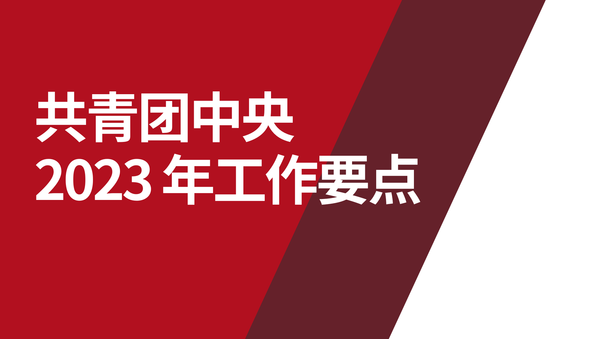 共青团中央 2023 年工作要点